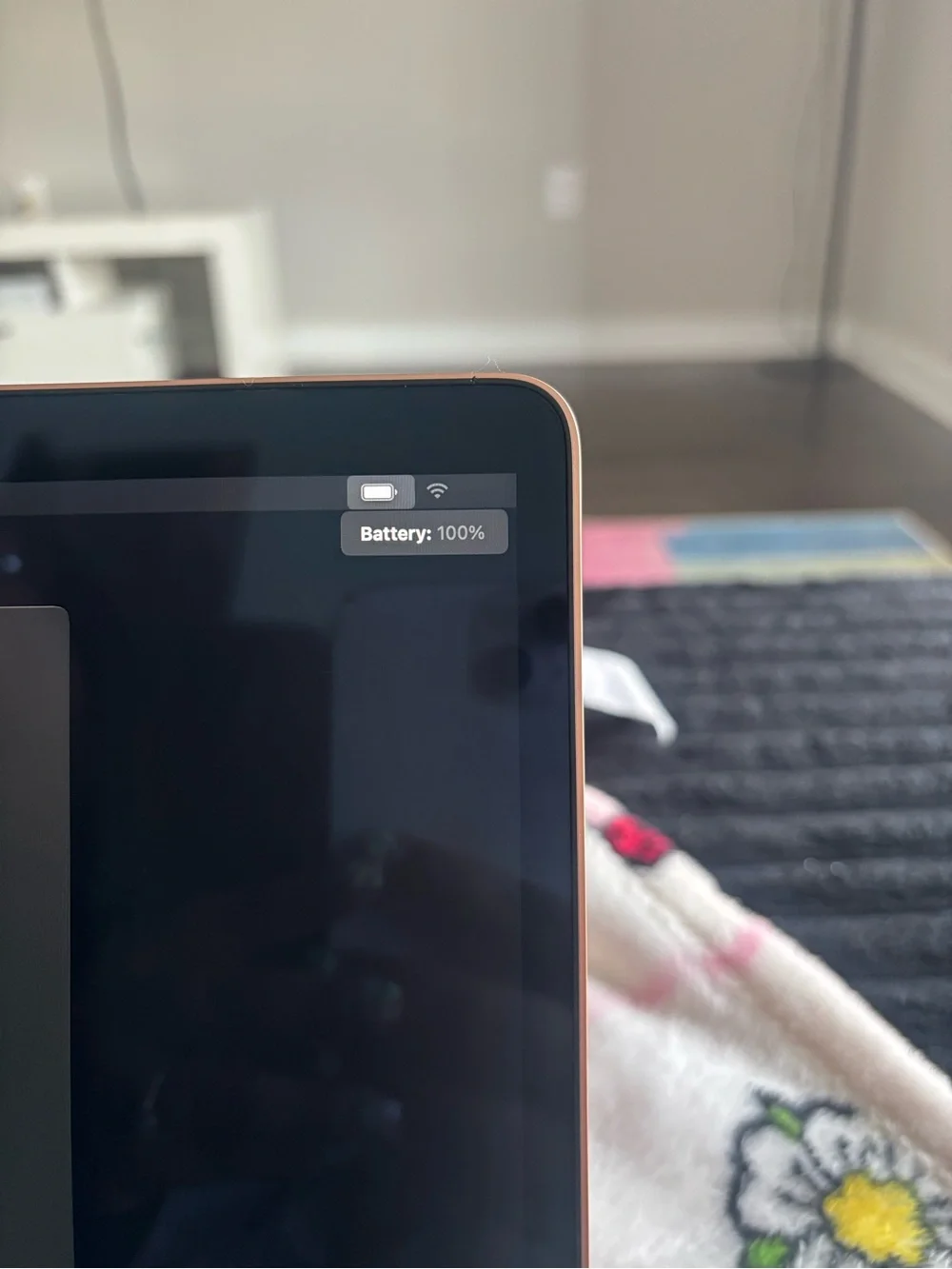 Apple MacBook in Rose Gold